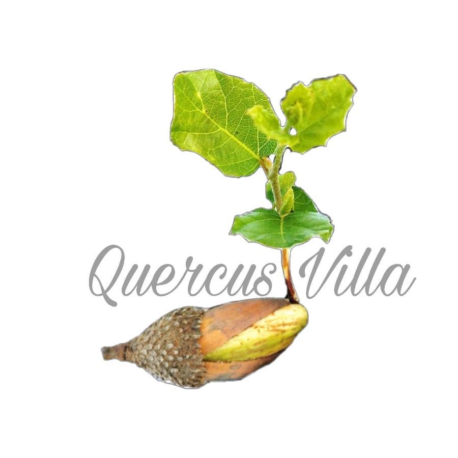 Quercus Villa Сесимбра Экстерьер фото